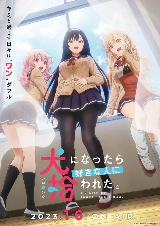 《生而为狗我很幸福》：年度催泪神作，探讨生命意义与动物伦理