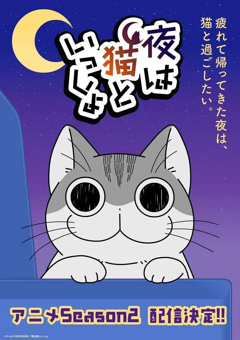 《关于养猫我一直是新手 第二季》：新手铲屎官的爆笑日常，萌猫治愈不停！